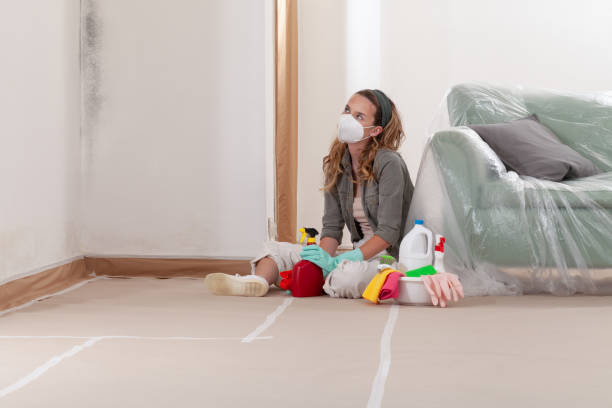 Reliable Black Mold Removal contractor in Ingleside, TX by WQB Mold Removal